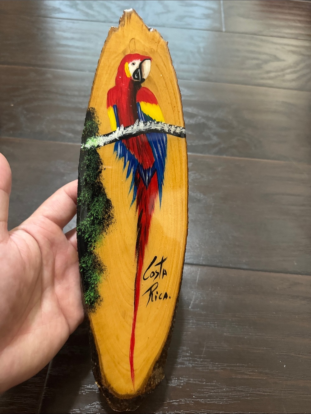 Hand-Painted Parrot Wall Art - Red, Blue & Yellow - Costa Rica